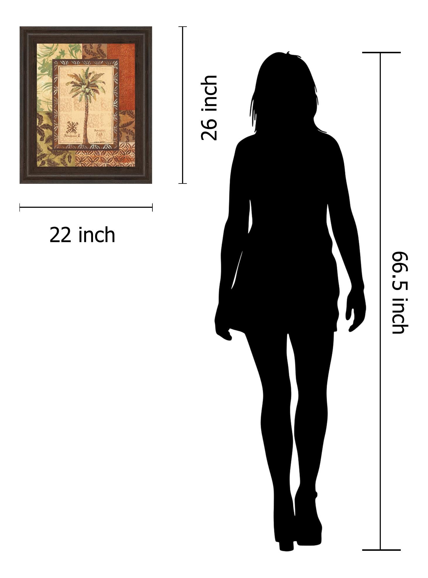 Palmaceae Ii By Gregory Gorham 22X26 Framed Print