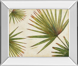 Mirrored Frame Organic Ii By Patricia Pinto 22X26 Mirror Frame Print
