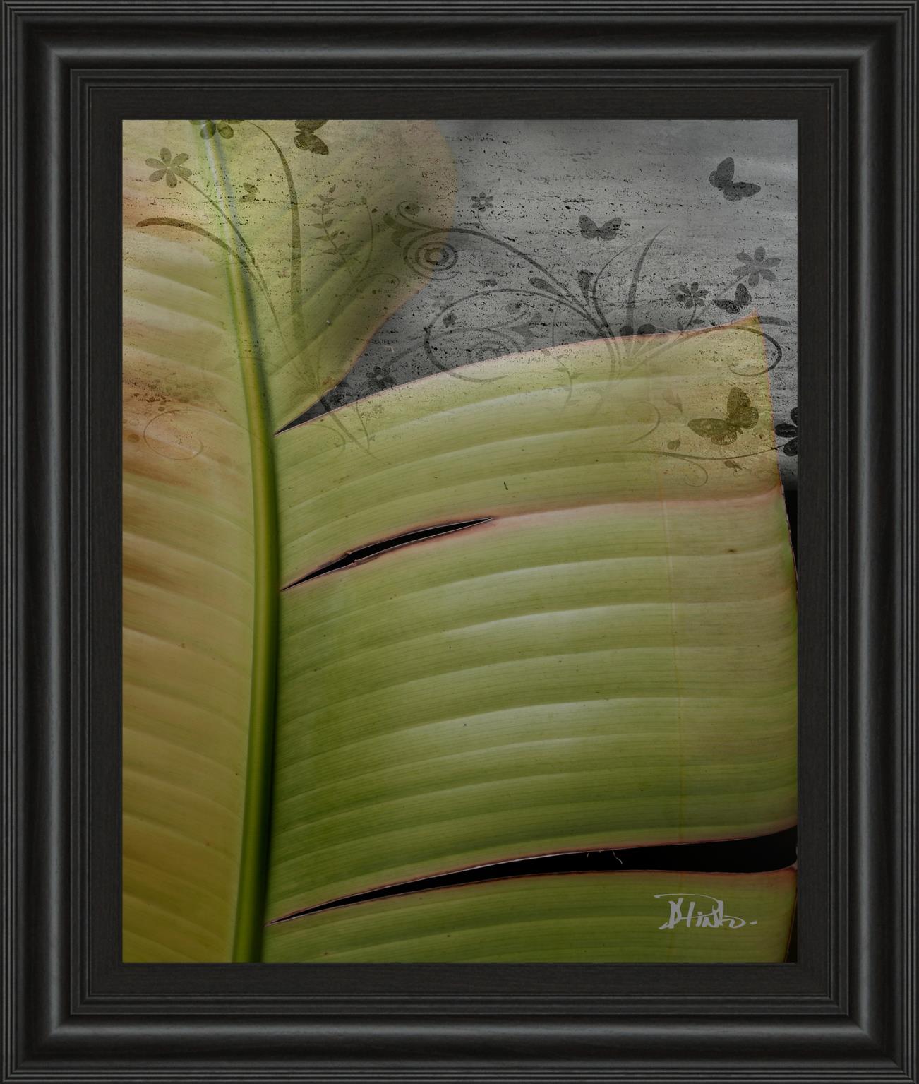 Butterfly Palm Ii By Patricia Pinto 22X26 Framed Print