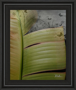 Butterfly Palm Ii By Patricia Pinto 22X26 Framed Print