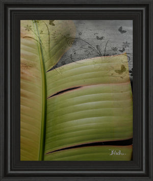 Butterfly Palm Ii By Patricia Pinto 22X26 Framed Print