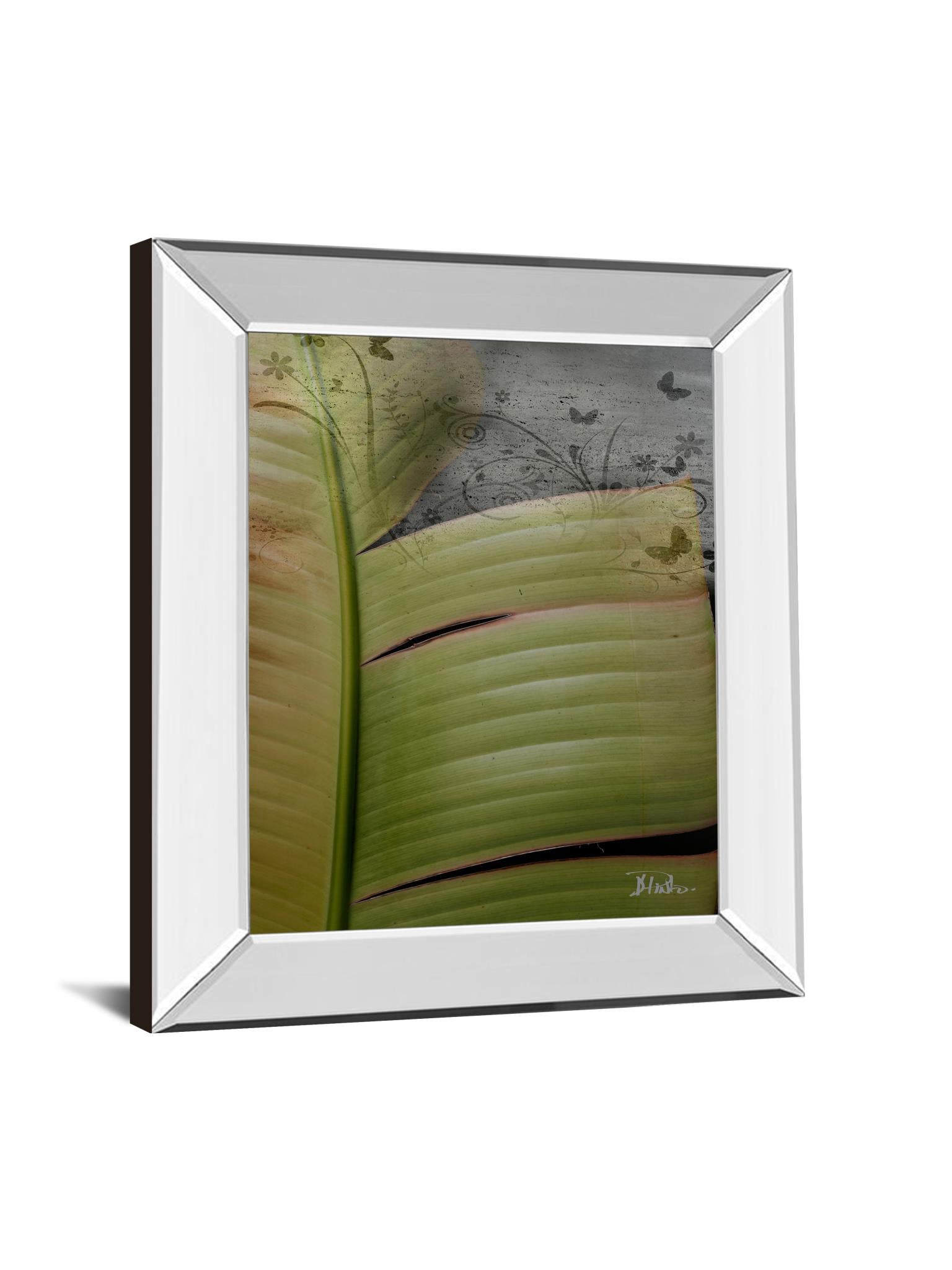 Mirrored Frame Butterfly Palm Ii By Patricia Pinto 22X26 Mirror Frame Print