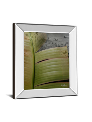 Mirrored Frame Butterfly Palm Ii By Patricia Pinto 22X26 Mirror Frame Print