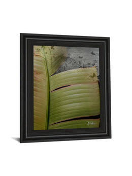Butterfly Palm Ii By Patricia Pinto 22X26 Framed Print