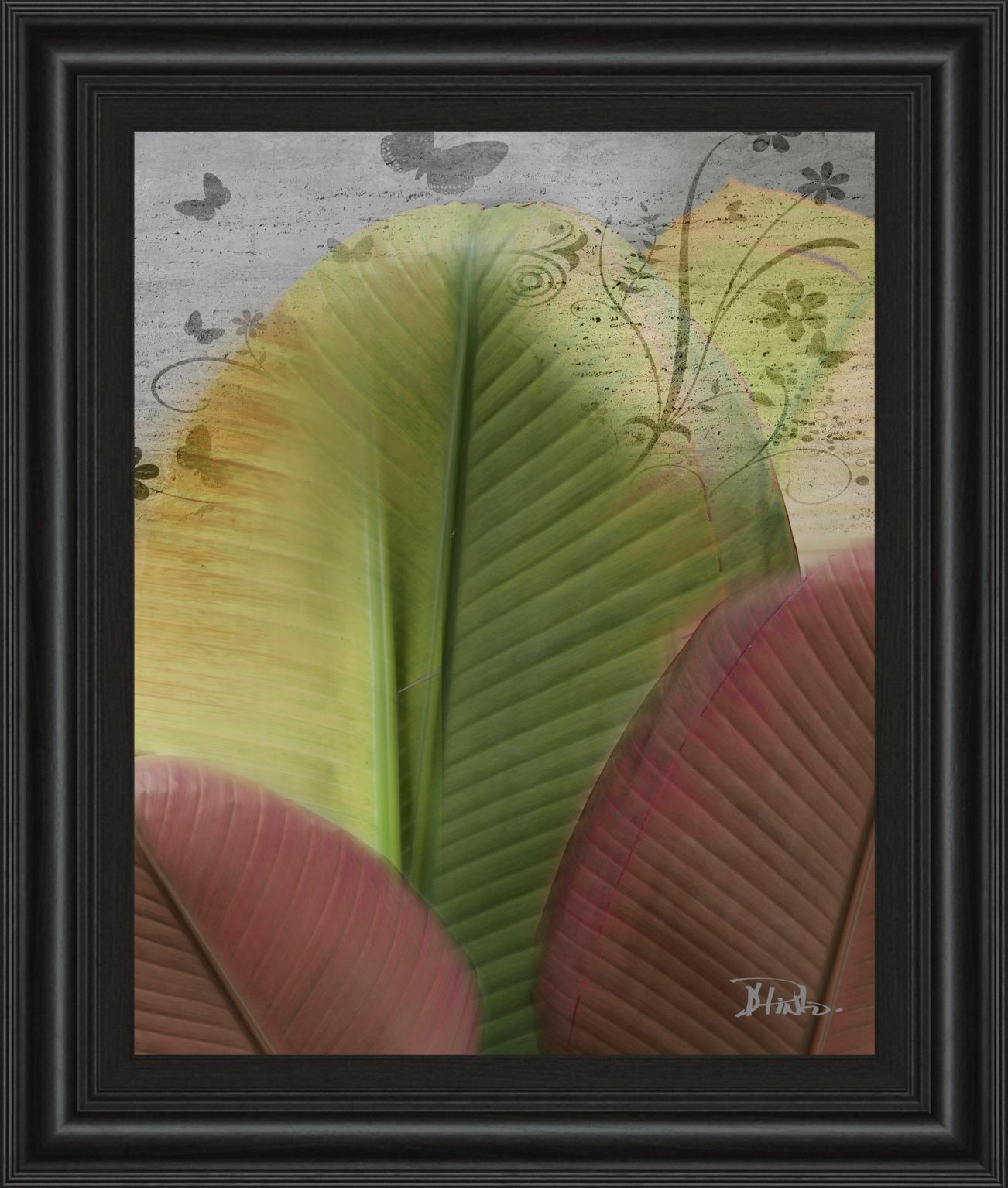 Butterfly Palm I By Patricia Pinto 22X26 Framed Print