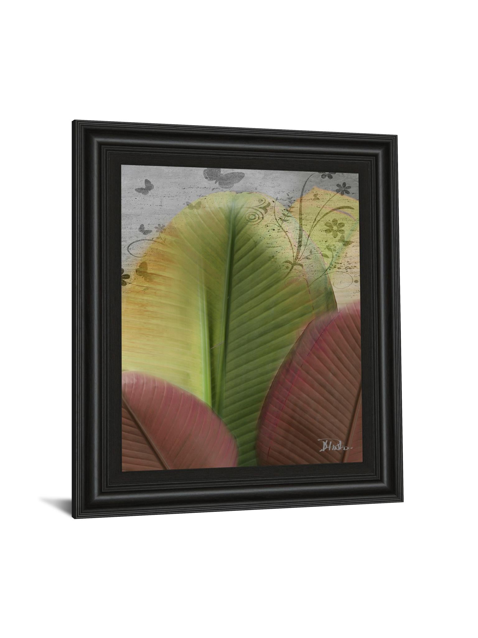 Butterfly Palm I By Patricia Pinto 22X26 Framed Print