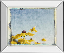 Mirrored Frame Blackeyed Susans I By Meghan Mc Sweeney 22X26 Mirror Frame Print