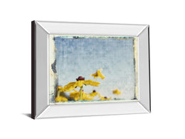 Mirrored Frame Blackeyed Susans I By Meghan Mc Sweeney 22X26 Mirror Frame Print