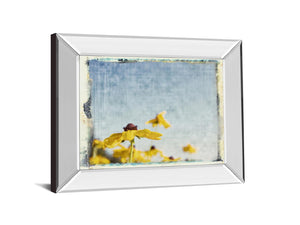 Mirrored Frame Blackeyed Susans I By Meghan Mc Sweeney 22X26 Mirror Frame Print