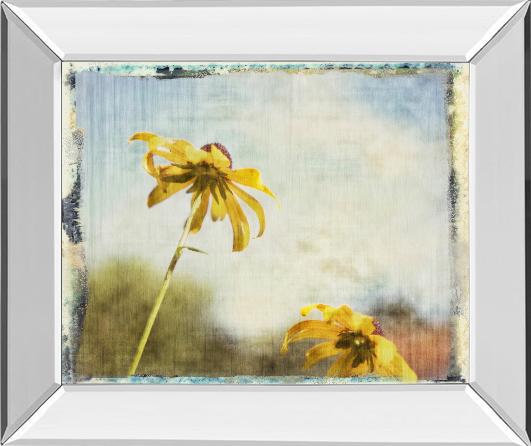 Mirrored Frame Blackeyed Susan Ii By Meghan Mcsweeney 22X26 Mirror Frame Print