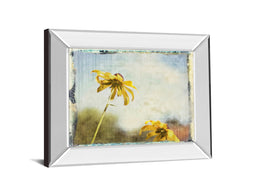 Mirrored Frame Blackeyed Susan Ii By Meghan Mcsweeney 22X26 Mirror Frame Print