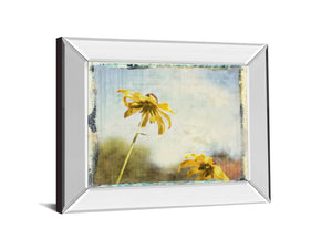Mirrored Frame Blackeyed Susan Ii By Meghan Mcsweeney 22X26 Mirror Frame Print