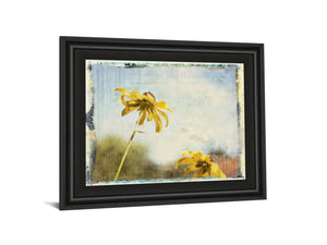 Blackeyed Susan Ii By Meghan Mcsweeney 22X26 Framed Print