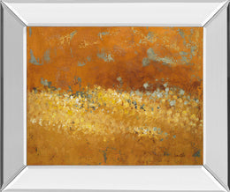 Mirrored Frame Flower Fields Ii By Lanie Loreth 22X26 Mirror Frame Print