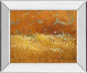 Mirrored Frame Flower Fields Ii By Lanie Loreth 22X26 Mirror Frame Print