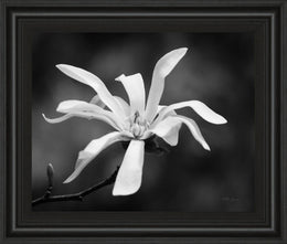 Magnolia Dreams I By Geyman Vitaly 22X26 Framed Print