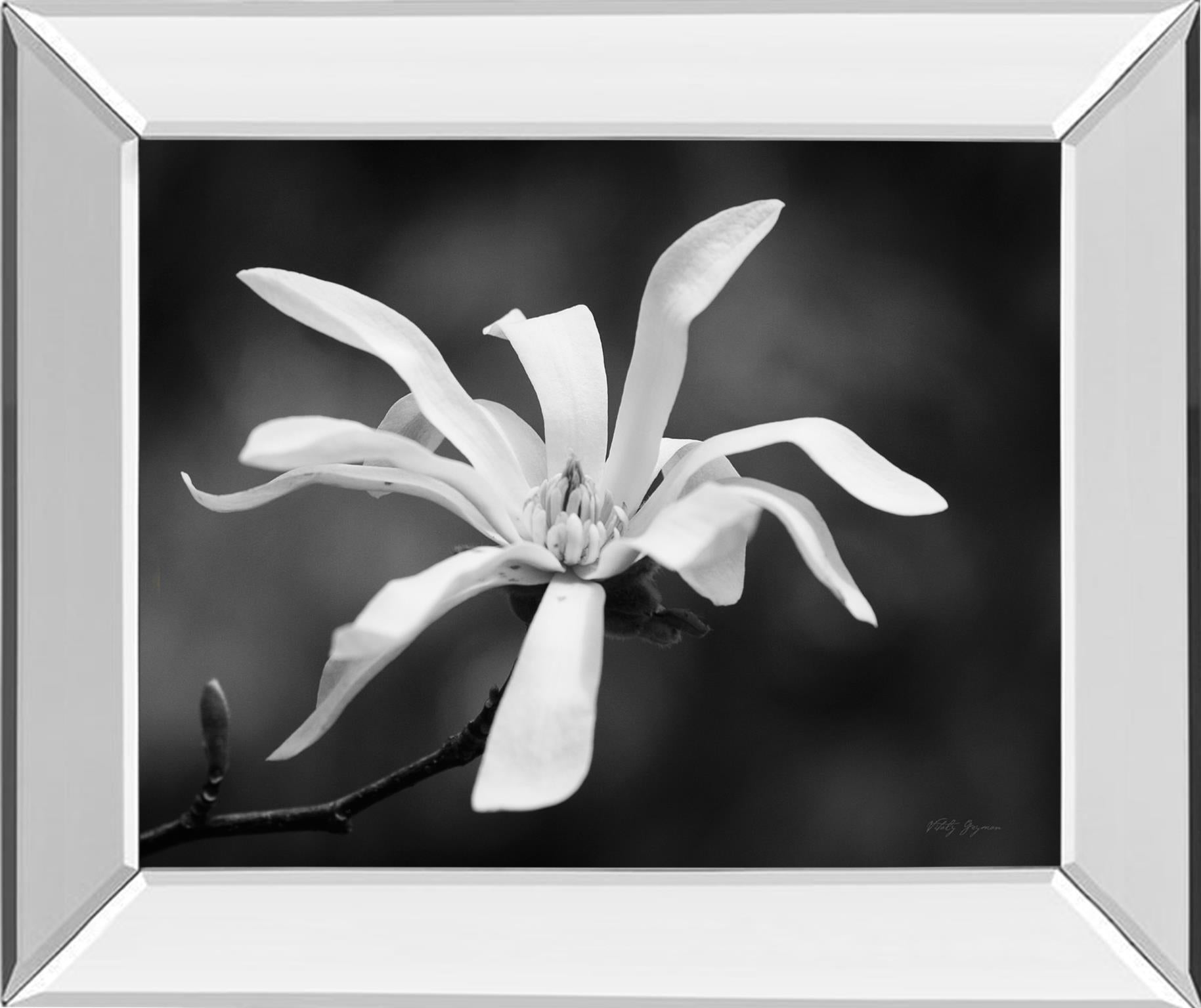 Mirrored Frame Magnolia Dreams I By Geyman Vitaly 22X26 Mirror Frame Print