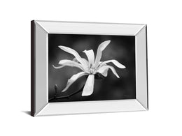 Mirrored Frame Magnolia Dreams I By Geyman Vitaly 22X26 Mirror Frame Print