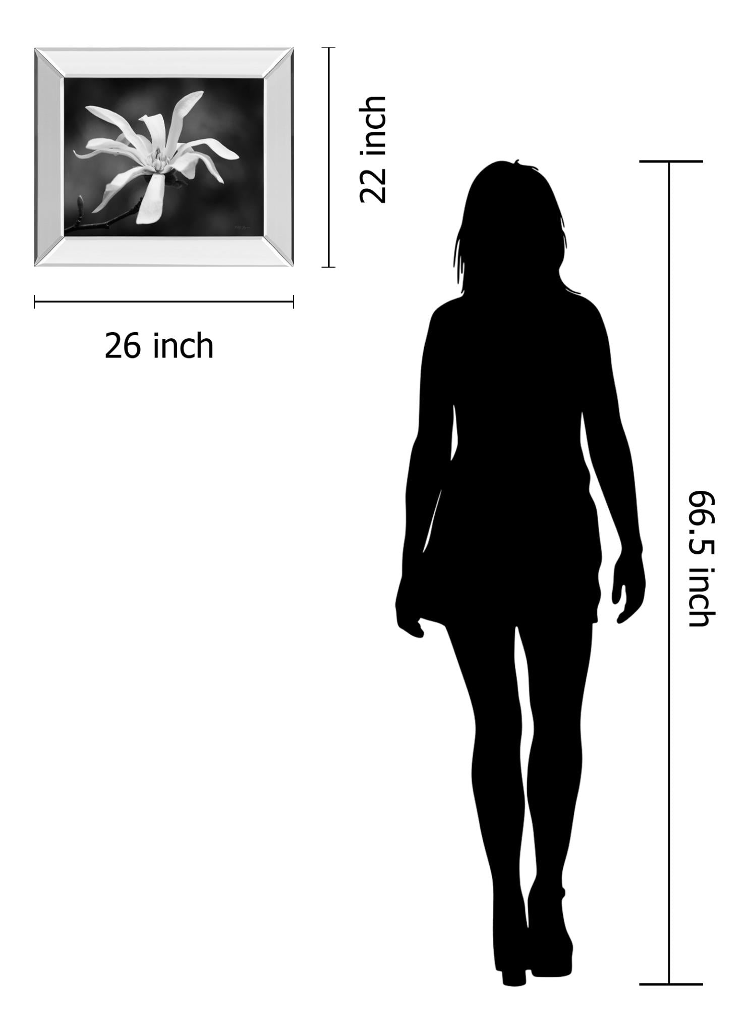 Mirrored Frame Magnolia Dreams I By Geyman Vitaly 22X26 Mirror Frame Print