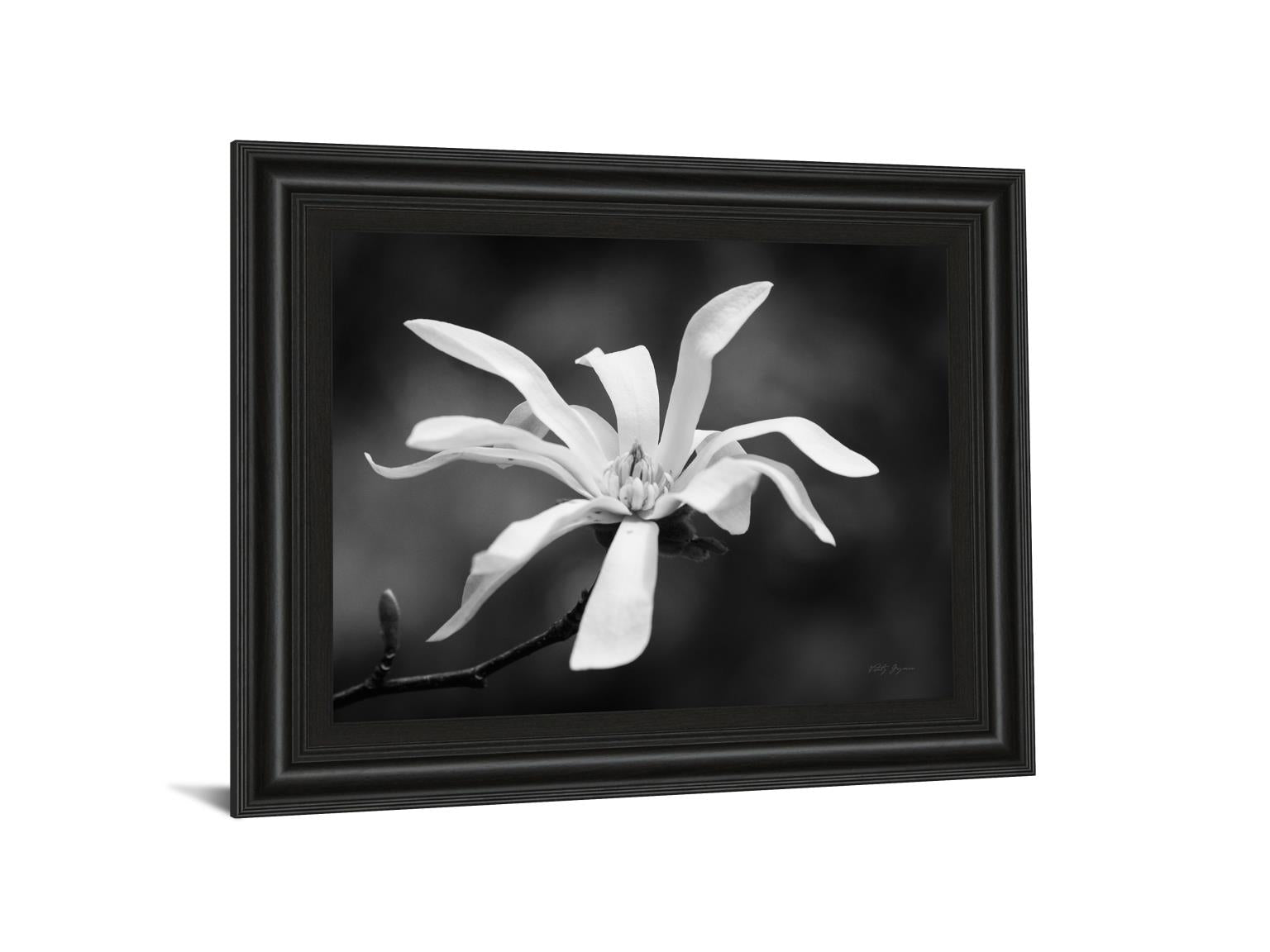 Magnolia Dreams I By Geyman Vitaly 22X26 Framed Print
