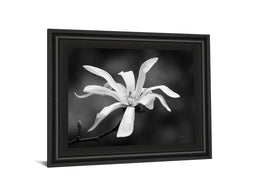 Magnolia Dreams I By Geyman Vitaly 22X26 Framed Print