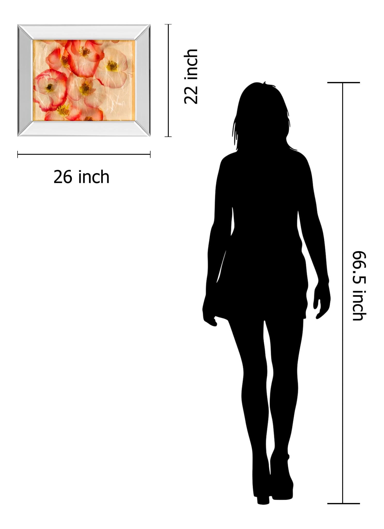 Mirrored Frame Papaver Dreams Iii By Harold Davis 22X26 Mirror Frame Print