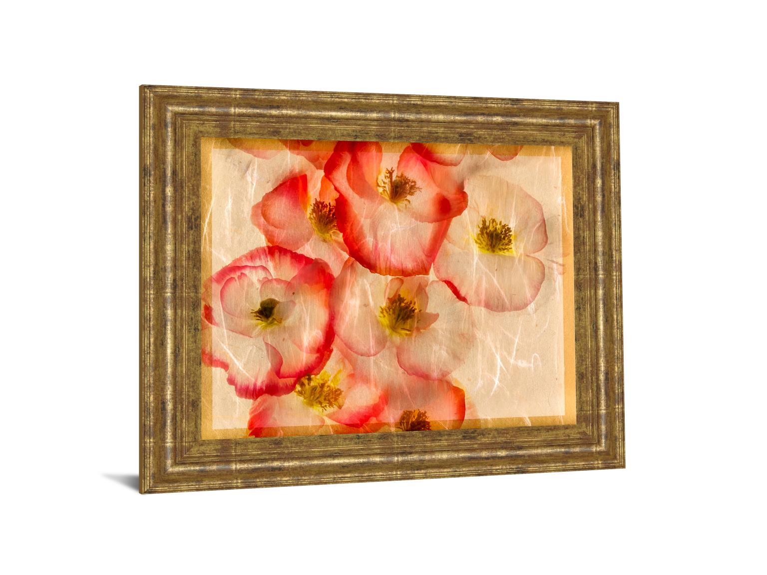 Papaver Dreams Iii By Harold Davis 22X26 Framed Print