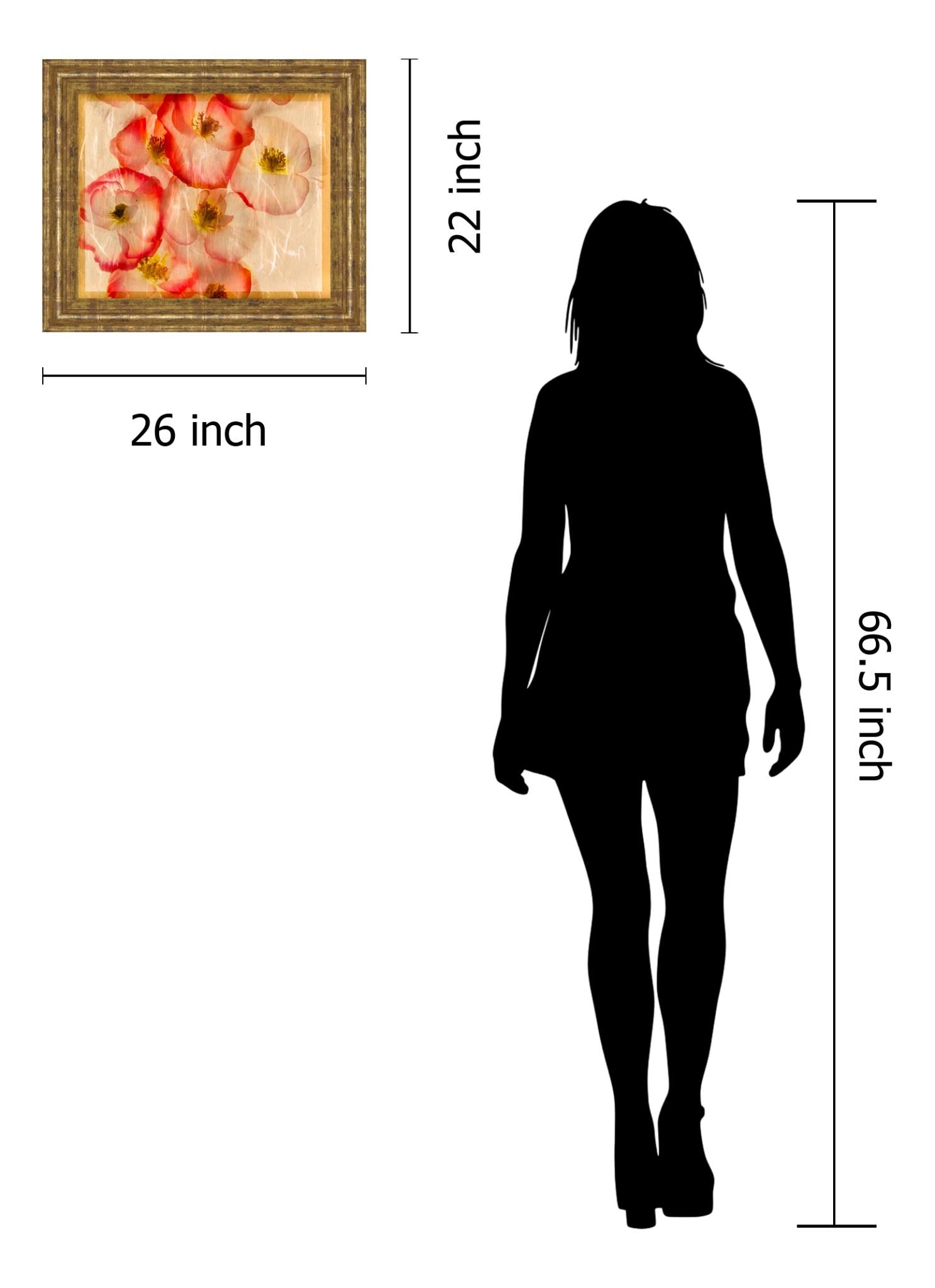 Papaver Dreams Iii By Harold Davis 22X26 Framed Print