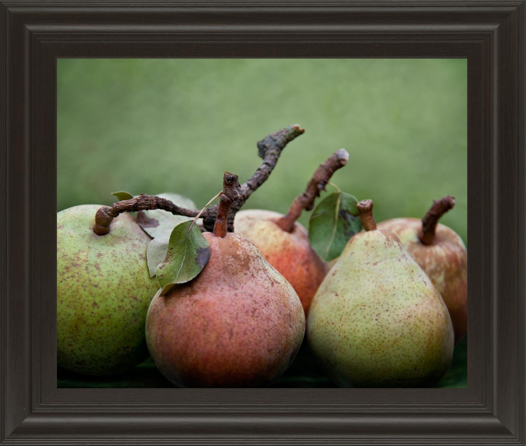 Comice Pear I By Rachel Perry 22X26 Framed Print
