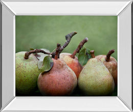 Mirrored Frame Comice Pear I By Rachel Perry 22X26 Mirror Frame Print
