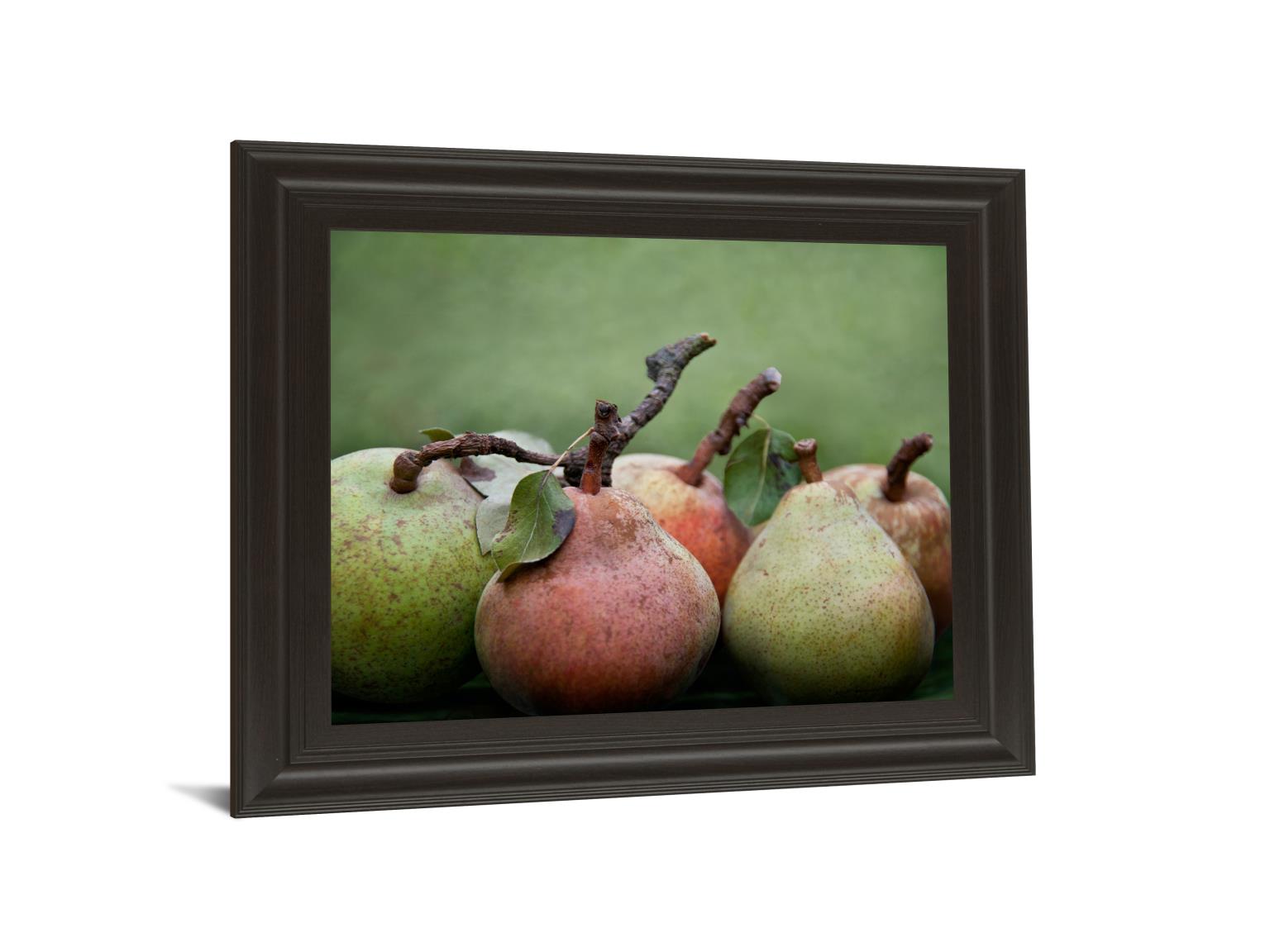 Comice Pear I By Rachel Perry 22X26 Framed Print