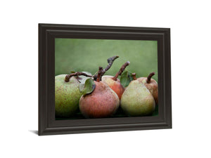 Comice Pear I By Rachel Perry 22X26 Framed Print