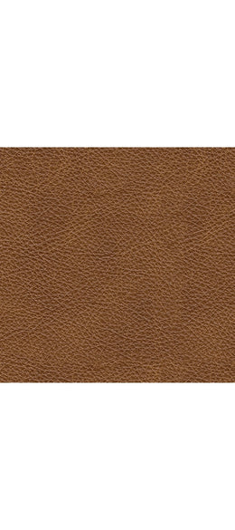Carianna Sofa, Loveseat, Chair and Ottoman