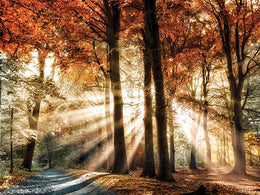 Dreaming In By Lars Van De Goor Giclee Canvas