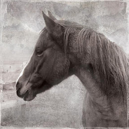 Vintage View Ii By Carol Robinson Giclee Canvas
