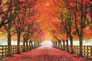 North Bend Trees By Aaron Reed Giclee Canvas