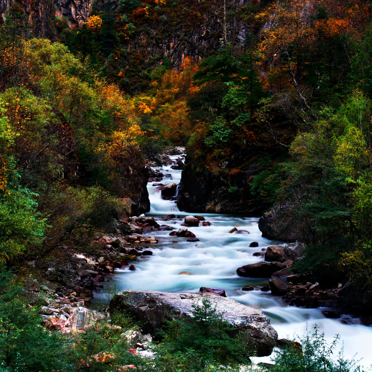 Stream Me Giclee Canvas