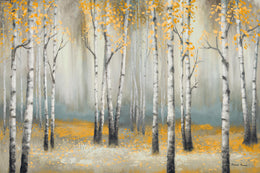 Golden September Birchmichaelmarcon Giclee Canvas