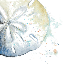 Water Sand Dollarpatriciapinto Giclee Canvas