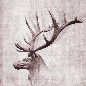 Open Range Ii By John Butler Giclee Canvas