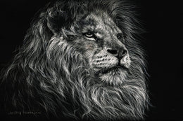 African Lion By Lesley Harrison Giclee Canvas