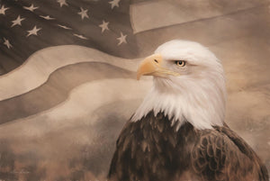 Us Symbols By Lori Deiter Giclee Canvas