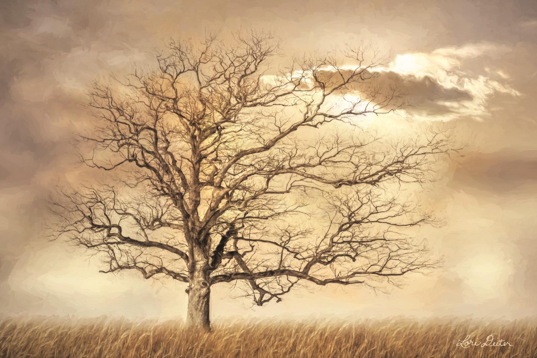 Golden Tree By Lori Deiter Giclee Canvas