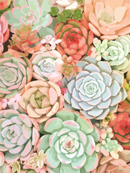 Â Succulent By Tamara Robinson Giclee Canvas