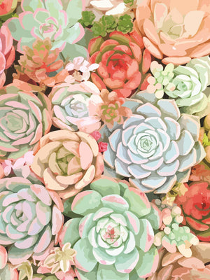 Â Succulent By Tamara Robinson Giclee Canvas
