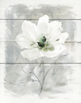 Farmhouse Rose Ii By Carol Robinson Giclee Canvas