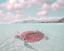 Sun Bathing By Mike Calascibetta Giclee Canvas