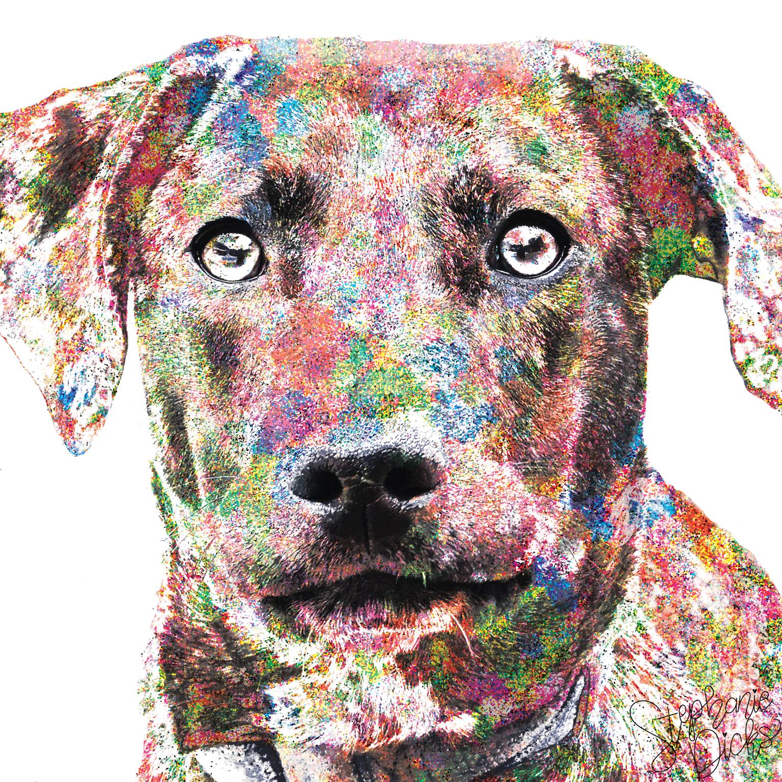 Beau By Stephanie Dicks Giclee Canvas