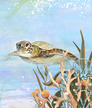 Turtle By The Reef Ii By  Diannart Giclee Canvas