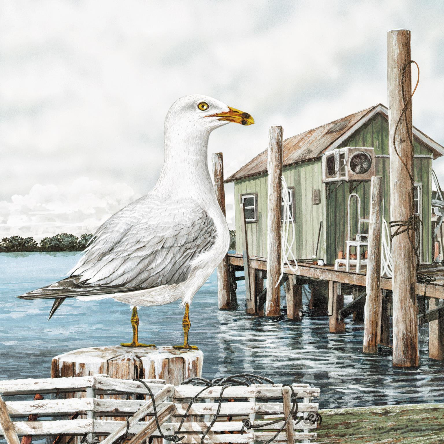 Majestic Seagull By James Harris Giclee Canvas